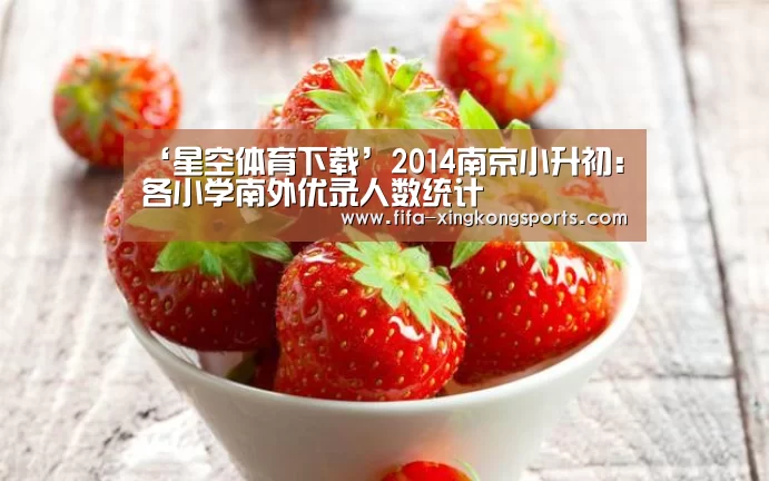 ‘星空体育下载’2014南京小升初：各小学南外优录人数统计(图3)