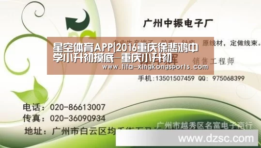 星空体育APP|2016重庆徐悲鸿中学小升初摸底-重庆小升初(图1)