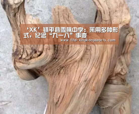 星空体育下载